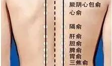 背部按摩手法视频教学,轻松掌握专业按摩技巧